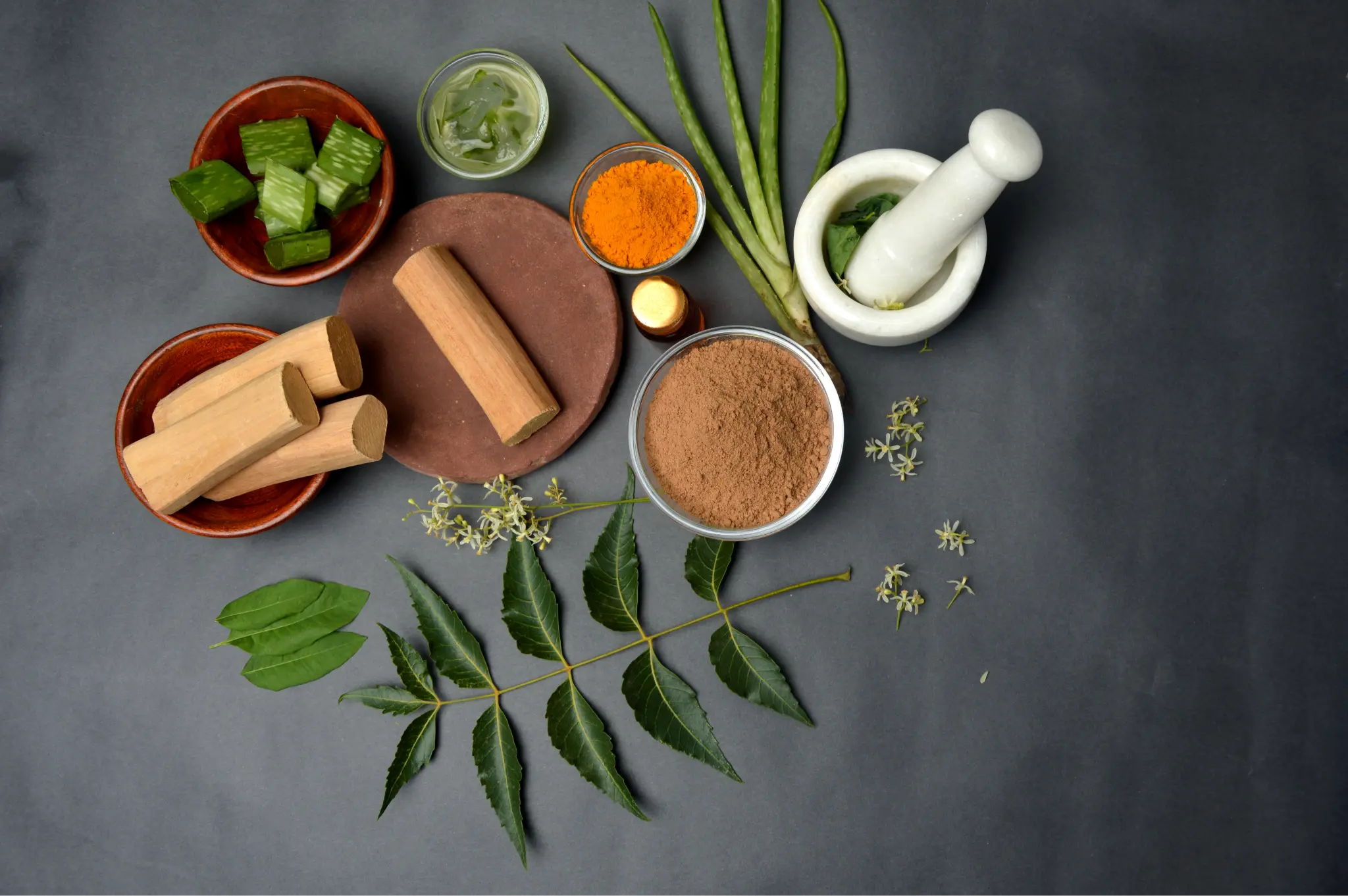 Research in Ayurveda and Vedic Science